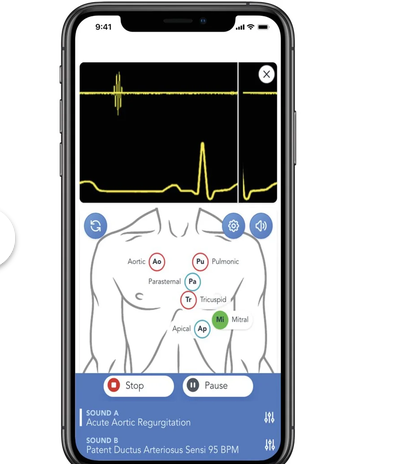 SAM4 Plus Auscultation Manikin, Dark [1025099] 