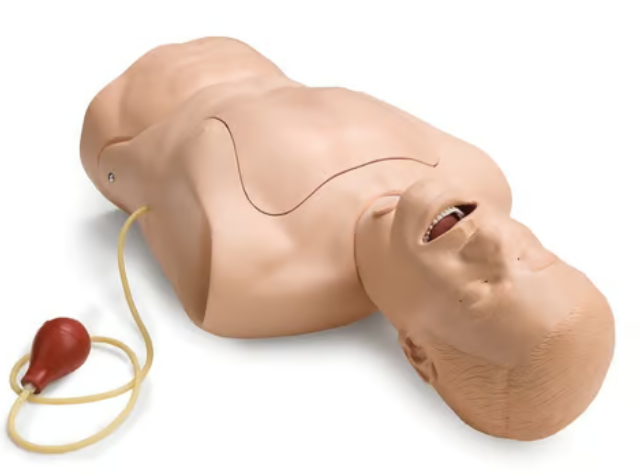 Laerdal® NG Tube and Trach Care Trainer [375-10001]